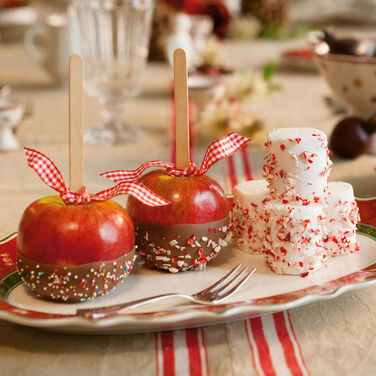 Блюдо овальне 50 х 31 см Toy's Delight Villeroy & Boch