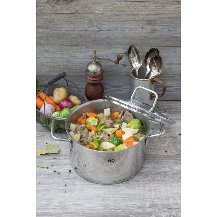 Каструля з нержавіючої сталі Elo 7242026, діаметр 20 см, каструля та скляна кришка, підходить для всіх типів плит, нержавіюча сталь, скло, 20 см, сіра каструля ø 20 см (каструля ø 26 см)