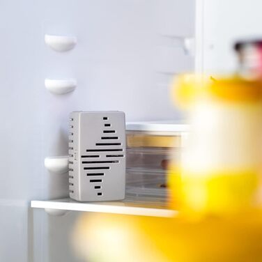 Натуральний нейтралізатор запахів для холодильника 2 шт Wessper