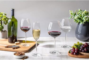 Келих для червоного вина 460 мл, Diva Schott Zwiesel