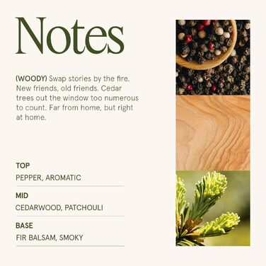 Ароматна свічка La Jole Muse у скляній свічці, подарунок для жінок, ароматичні свічки з сандаловим деревом для дому, час горіння 55 годин, 170 г. (Золота ялиця)