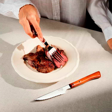 371500 Ніж столовий стейковий (дерев. ручка)