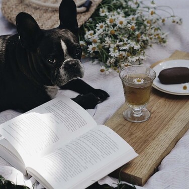 Склянка La Rochere Amboise вис.12 см, діам. 9,4 см, 290 мл