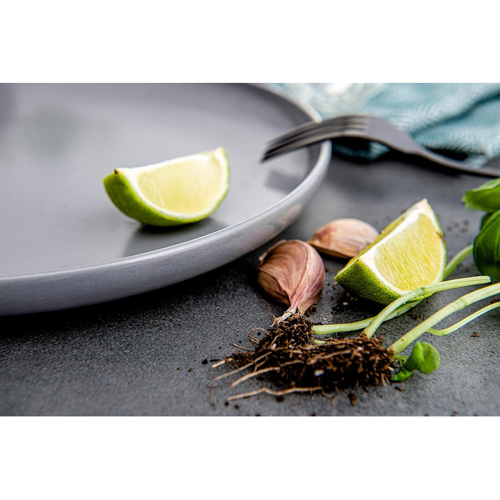 Тарілки для сніданку/десертні на 6 персон, 6 тарілок 20 см Konsimo