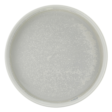 Тарелка презентационная 25*3.5 см с низким вертикальным бортом, Incise Porcelain Lustre, GenWare