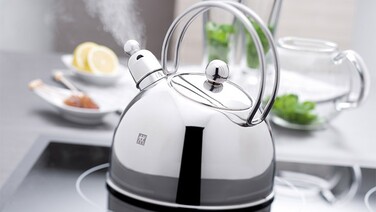 Twin Specials от Zwilling