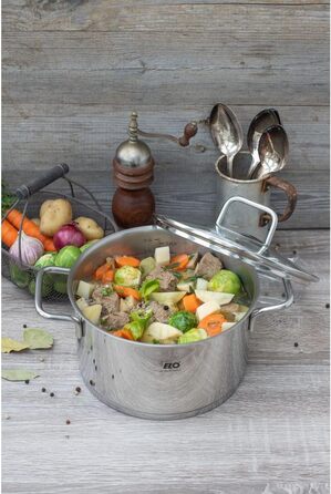 Каструля з нержавіючої сталі Elo 7242026, діаметр 20 см, каструля та скляна кришка, підходить для всіх типів плит, нержавіюча сталь, скло, 20 см, сіра каструля ø 20 см (каструля ø 26 см)