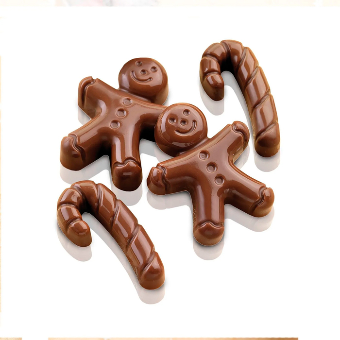 SCG12 Форма из резины