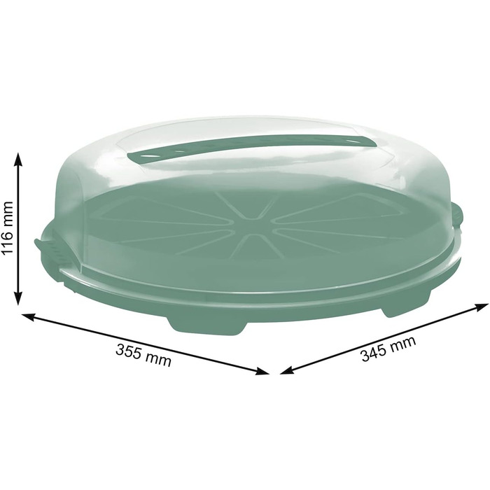Контейнер для торта 35,5 x 34,5 x 11,6 см бірюзовий Rotho