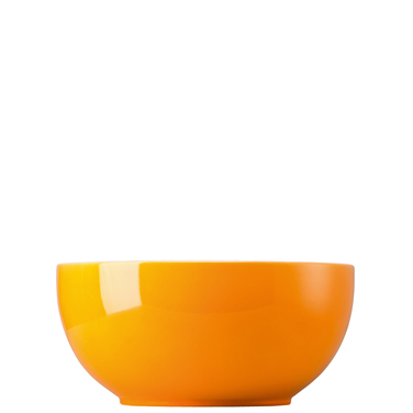 Салатниця 25 см помаранчева Sunny Day Orange Thomas