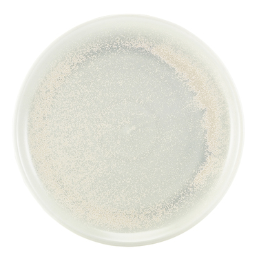 Тарелка круглая 27.5 см, Terra Porcelain Pearl, GenWare