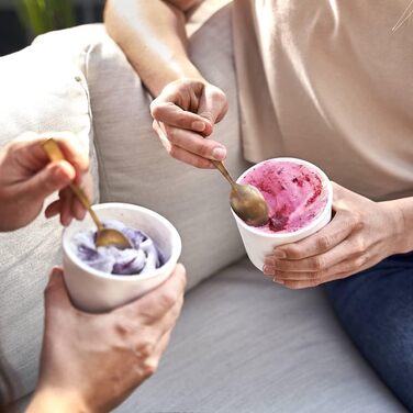 Набір з 2 контейнерів для морозива 1 л, контейнери для зберігання, морозильні банки, контейнери для льоду без бісфенолу А харчового класу (м'ята міні-набір з 4 шт. )