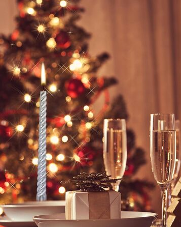 Набір з 4 конічних спіральних свічок 2 х 25,5 см, сріблястий Alederways