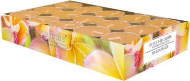 Ароматичні чайні свічки Pajoma 90, 3x30 шт. , ароматичні свічки, багато ароматів на вибір, висота 1,5 см, Ø 3,5 см (манго-апельсин, 30)