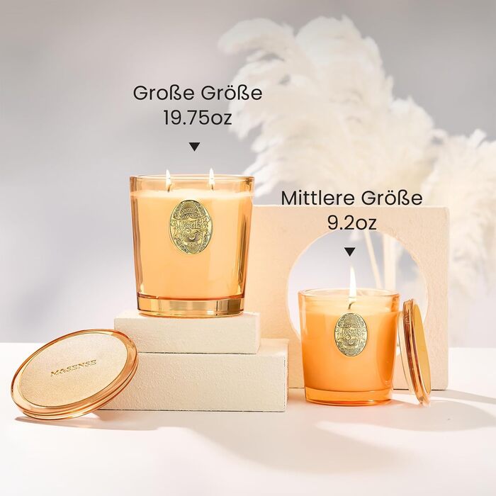 Ароматна свічка M&SENSE &quotЛісова хатина&quot, ароматичні свічки у склянці, натуральна соєва свічка, час горіння 55 годин, подарункові свічки для жінок та чоловіків, подарункова свічка (базилік-імбир, 260 г)