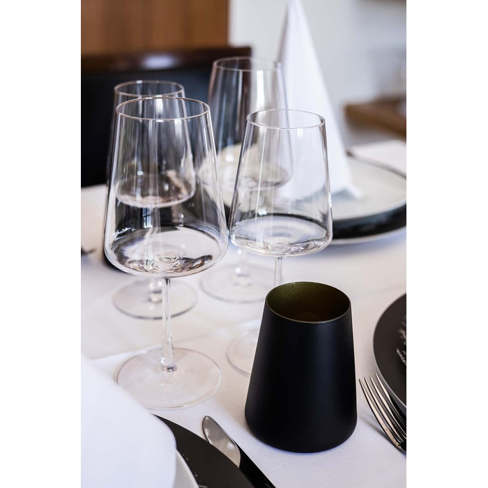 Набір з 12 келихів для червоного та білого вина, Power Stölzle Lausitz