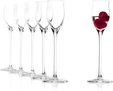 Набір із 6 чарок з ніжкою 65 мл, Quatrophil Stölzle Lausitz