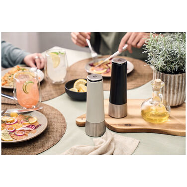 Млин для спецій 19 см, набір 2 предмети Spices Zwilling