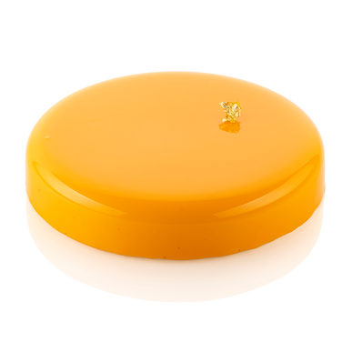 TOR160 H30/1 Форма силіконова  кругла d160 мм, h 30 мм, v= 0,600 л