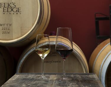 Набір з 6 келихів для білого вина 0,4 л Pure Schott Zwiesel