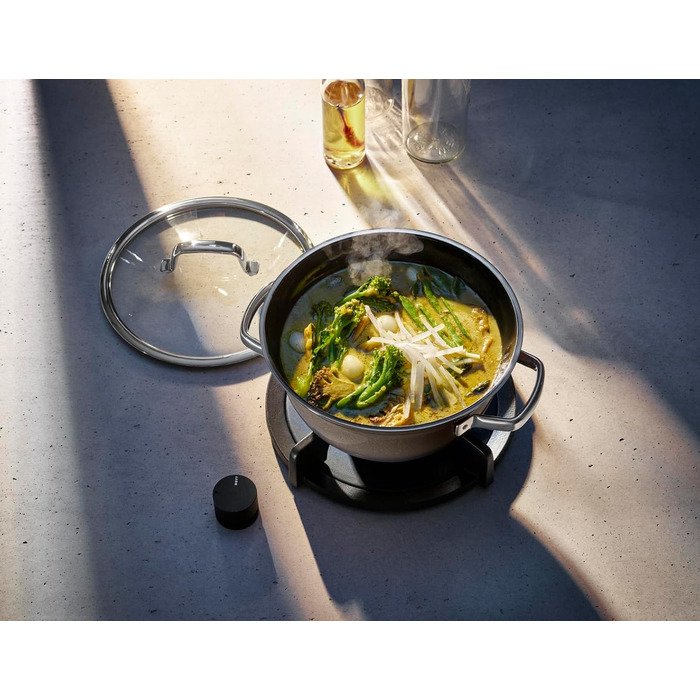 Каструля 20 см зі скляною кришкою, сіра Fusiontec Mineral WMF