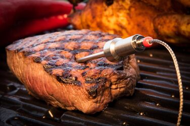 Набір з 2 датчиків для термометру Easy BBQ HerQs