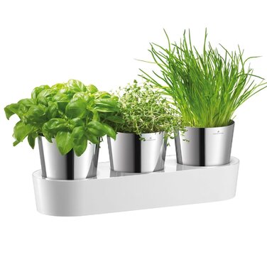 Набір горщиків з автополивом, 4 предмета Gourmet WMF