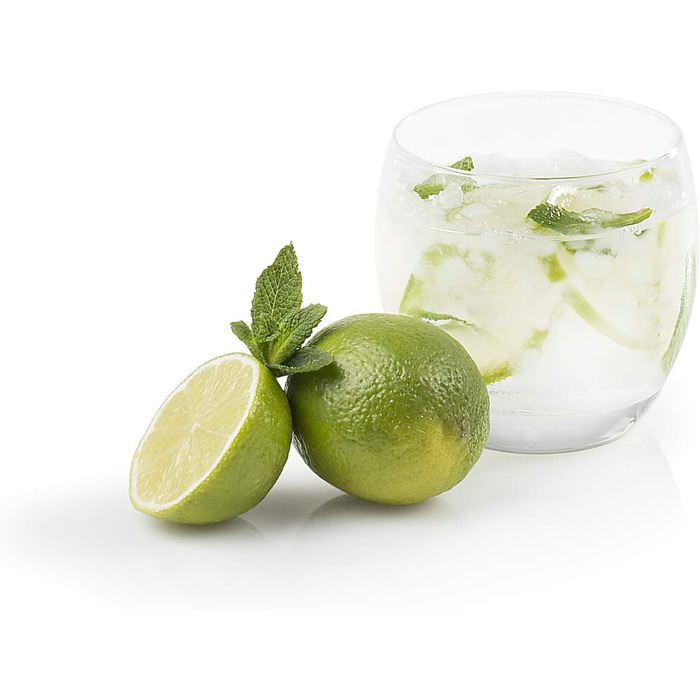 Електрична льодоподрібнювач 55 Вт Princess