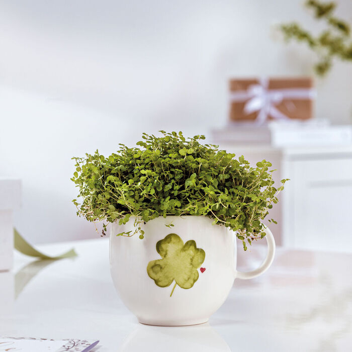 Кружка с ручкой 290 мл Четырехлистник With Love Villeroy & Boch