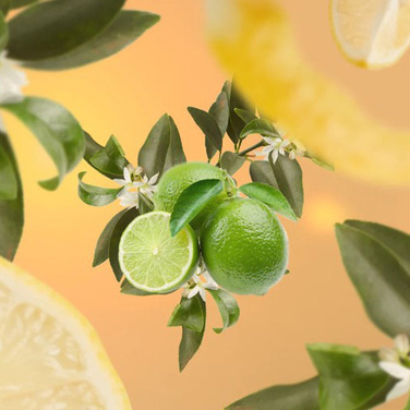 Аромат для дифузора Maison Berger Paris LEMON FLOWER, 200 мл