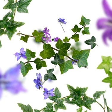 Набір Maison Berger Paris: дифузор LOLITA LEMPICKA блакитний, 100 мл + Наповнювач з ароматом LOLITA LEMPICKA, 90 мл та спрей з ароматом LOLITA LEMPICKA, 50 мл