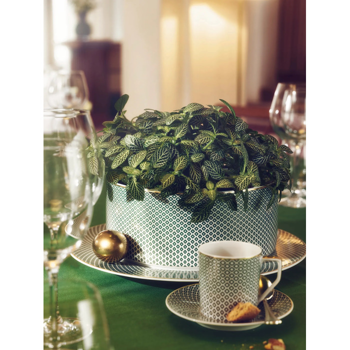 Салатниця 23 см Francis Carreau Vert Rosenthal