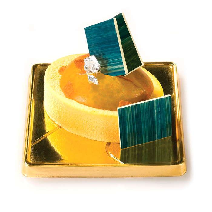 SF111/C Форма из резины