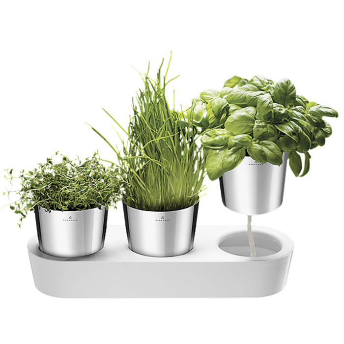 Набір горщиків з автополивом, 4 предмета Gourmet WMF