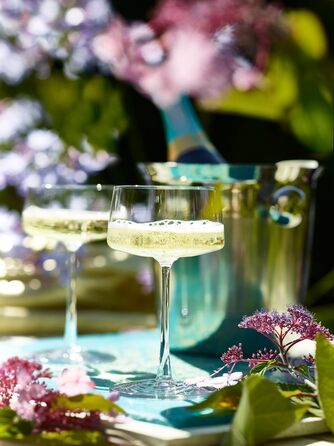 Бокалы для красного вина Power / Набор бокалов для красного вина из 6 / Высококачественные бокалы для красного вина 520 мл / Бокалы для вина Бокалы для красного вина / Stlzle для красного вина (чаши для шампанского)