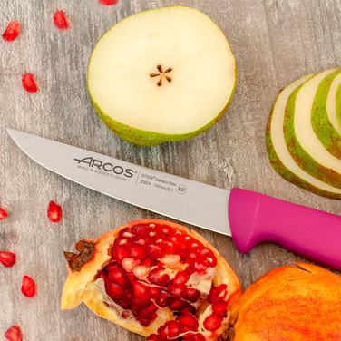 290431 Ніж кухарський 130 мм серія '2900' фіолетовий