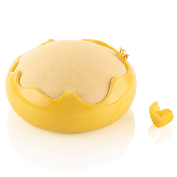 SPLASH 1320 Форма из резины