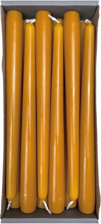 Набір з 12 конічних свічок 2,3 x 25 см, гірчично-жовтий Nordring