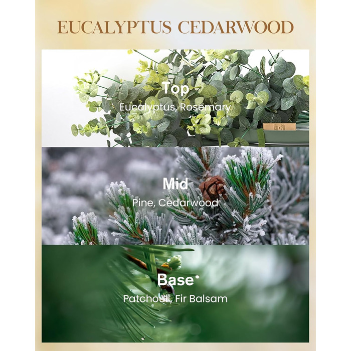 Ароматична свічка M&SENSE надзвичайно велика, час горіння 150 годин, натуральна ароматерапевтична свічка з 3 гнітами, сильний аромат, тривале горіння, подарункова свічка та прикраса для дому, подарунки для жінок (400 г, евкаліпт та кедр)