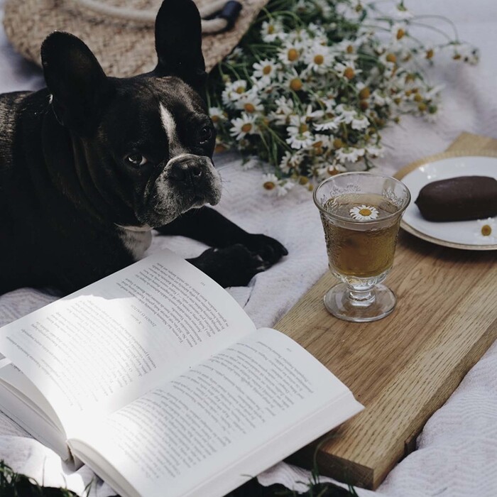 Склянка La Rochere Amboise вис.12 см, діам. 9,4 см, 290 мл