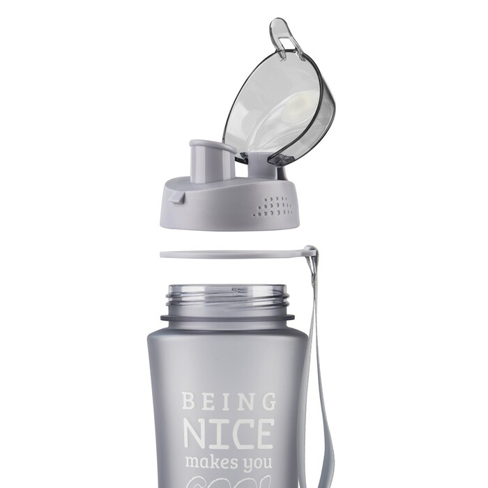 Бутылка для воды Fissman 650 мл 25 см (6927)