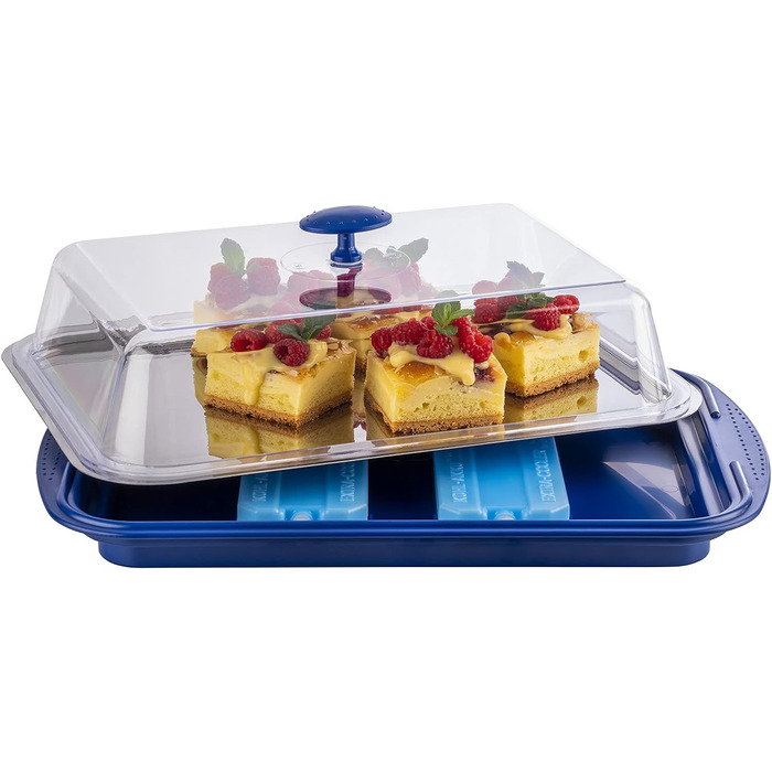 Предметів Високоякісний набір лотків, що складається з міцної оболонки, підноса з нержавіючої сталі, двох батарей охолодження та витяжки для зберігання продуктів, транспортування та перенесення вантажів із силікону, (синій), 6