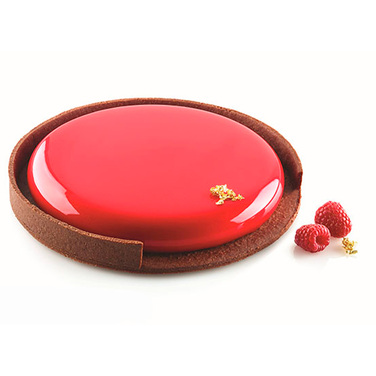 TARTE RING D190 H20 MM Форма из пластика