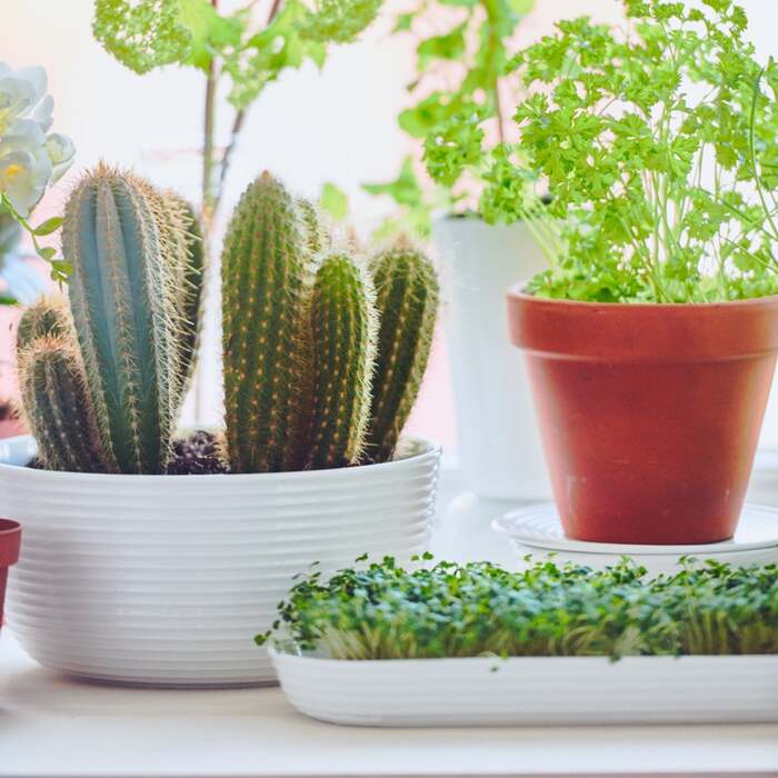 Чаша 21 см, біла ONO Weiß Thomas