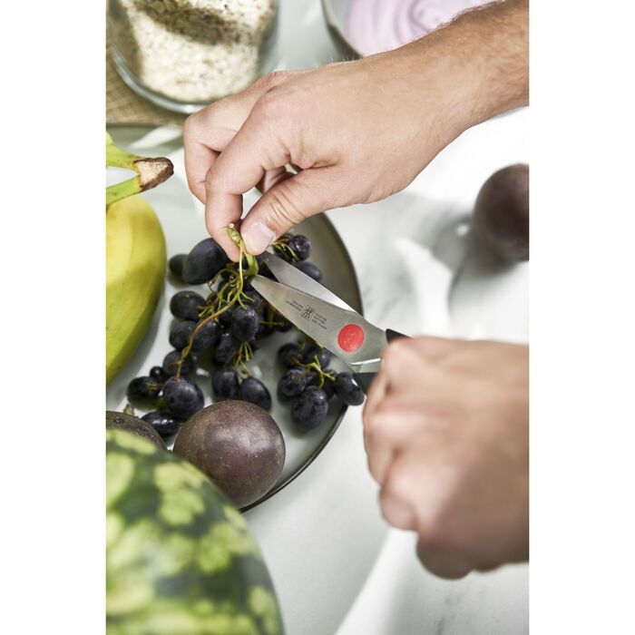 Набір ножів з підставкою, 9 предметів, антрацит Twin Chef 2 Zwilling