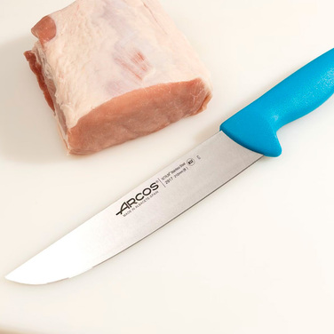 291723 Ніж м`ясника 210 мм серія '2900' синій