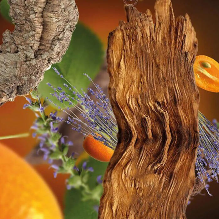 Картридж для диффузора для автомобиля Maison Berger Paris с ароматом ANTI-TABACCO, 2 шт.