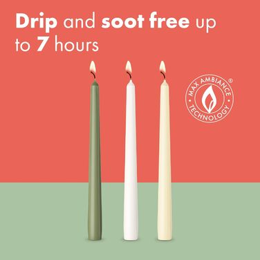 Набір з 16 конічних свічок 2,4 x 24,5 см, 2 упаковки по 8 шт, бордовий Essentials Bolsius