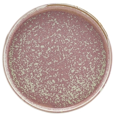 Тарілка презентаційна 21x2, 2 см з низьким вертикальним бортом, Terra Porcelain Rose Pink, GenWare