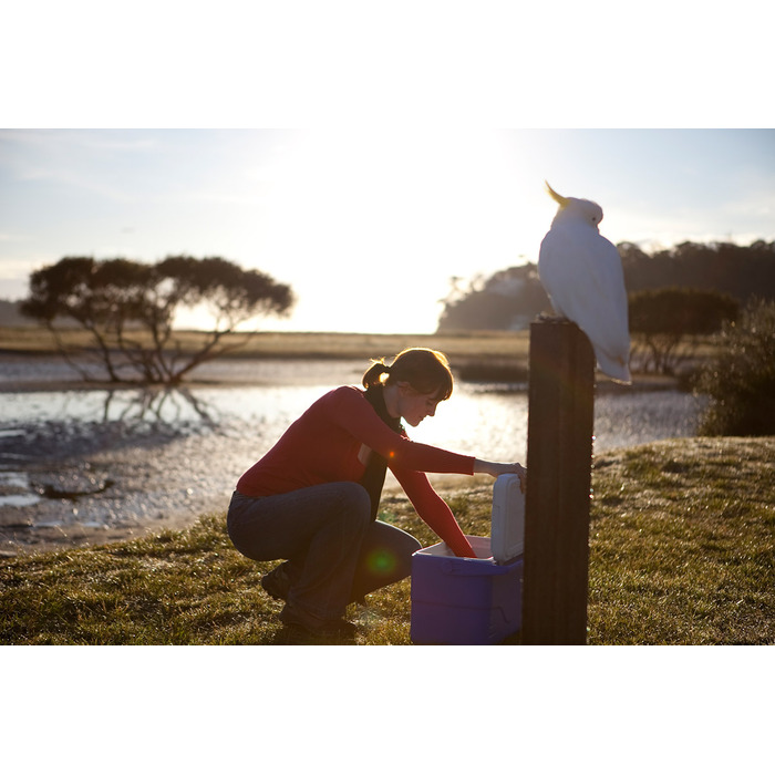 Термобокс 45 л Poly-lite Coleman